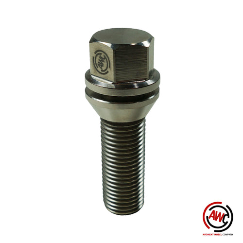 Titanium Universal Lug Bolt - Silver
